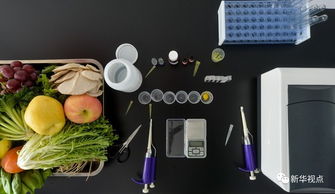 掌上菜市场 2016部委民生清单中的便捷生活新实践