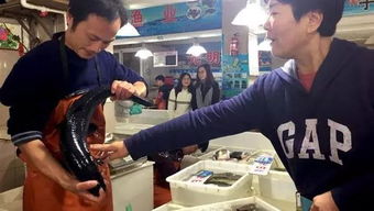 掌上菜市场的暖心坚守 上海卖鱼郎十七年免费送鱼，是作秀还是本心？